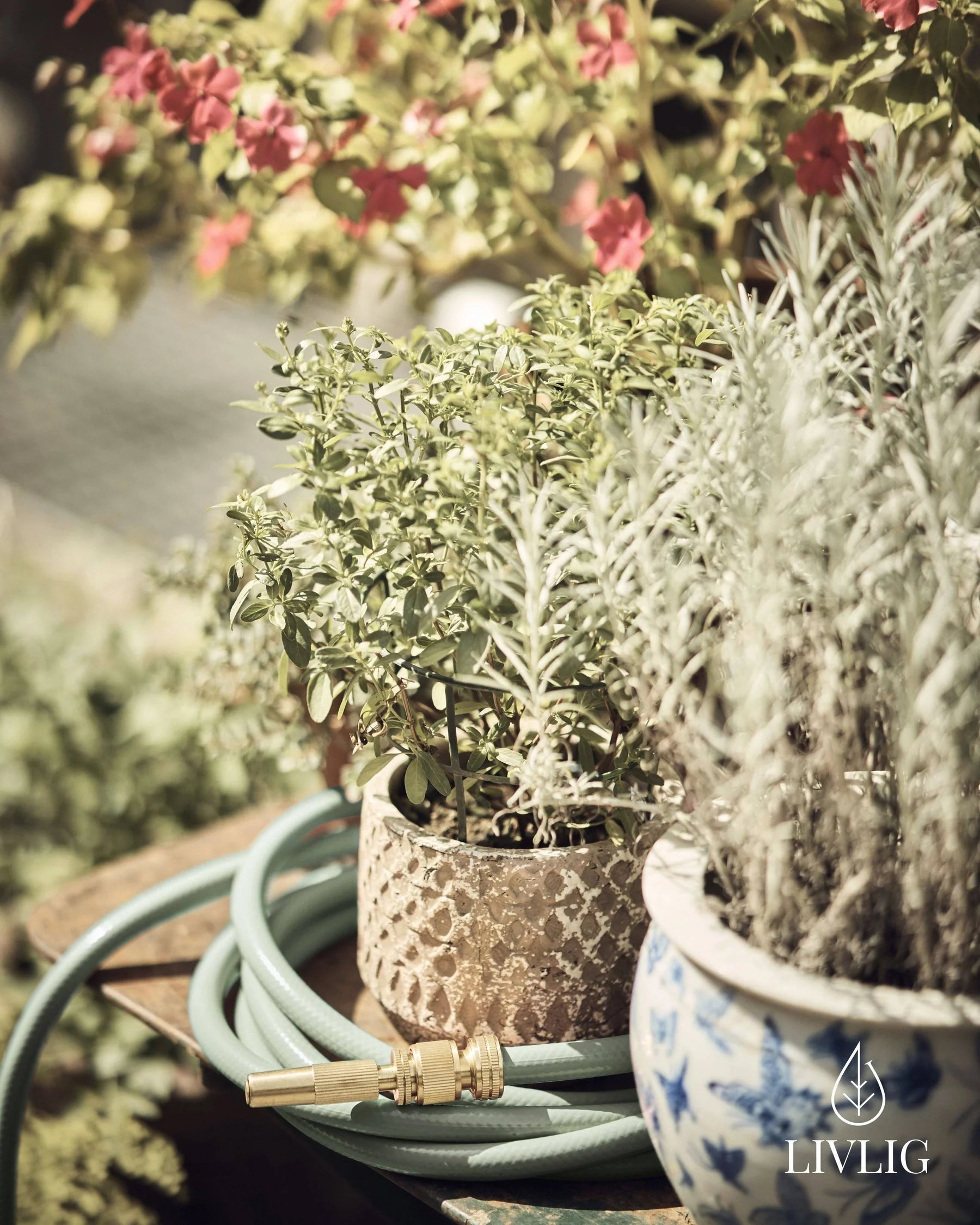 Design Gartenschlauch Graceful Green - 10, 20 & 30 Meter