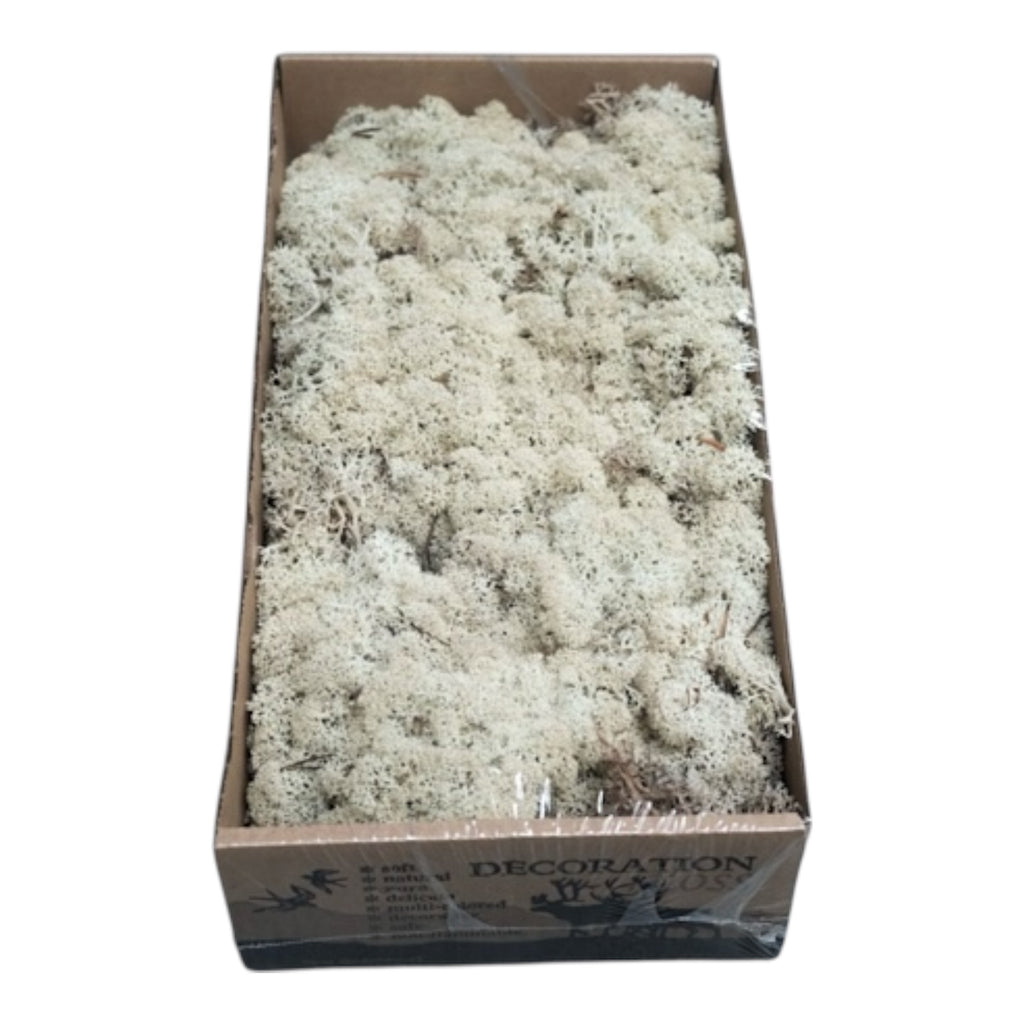 Island Moos Natural - 500 g
