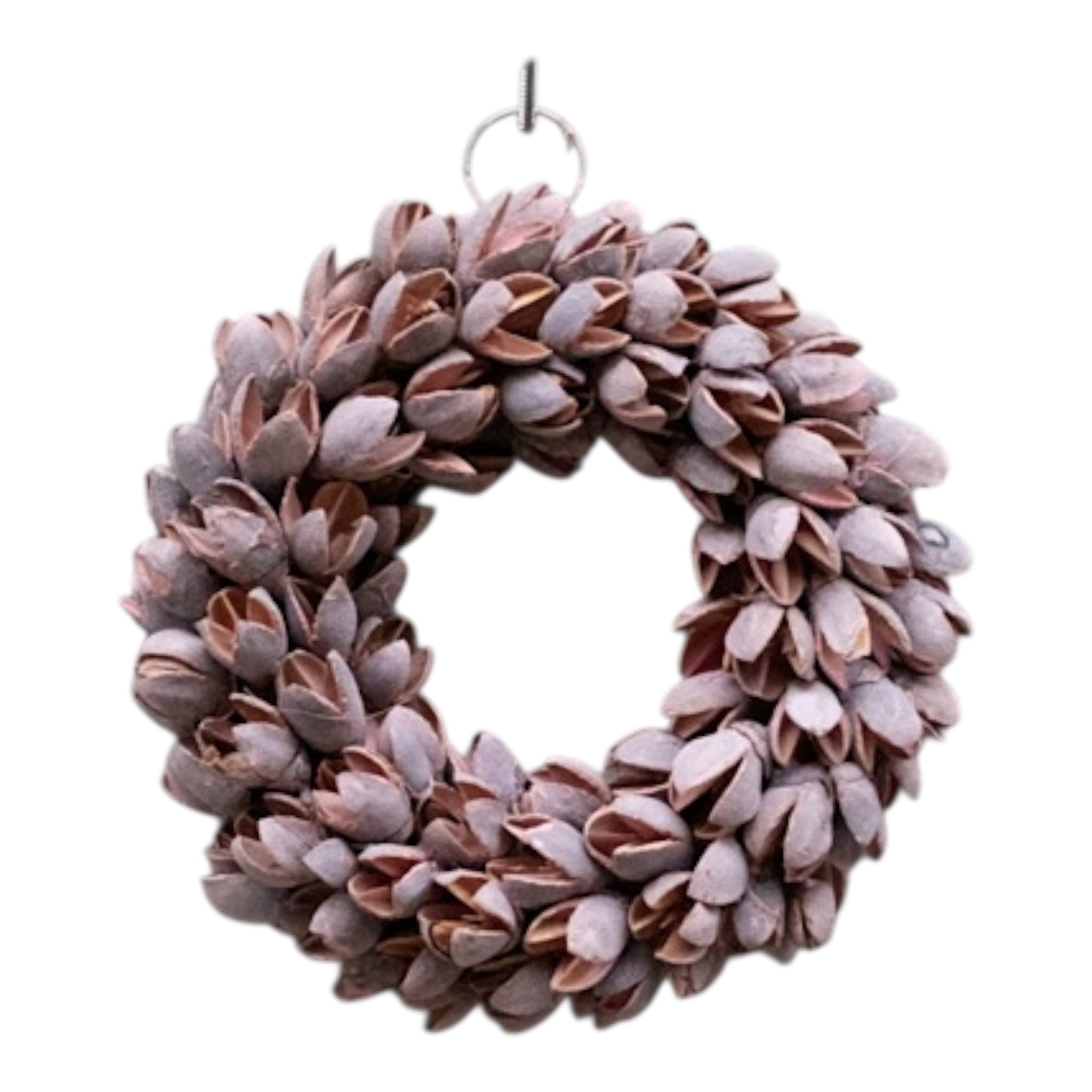 Kranz/ Bakuli-Schoten dünn, Powder pink - 20 cm