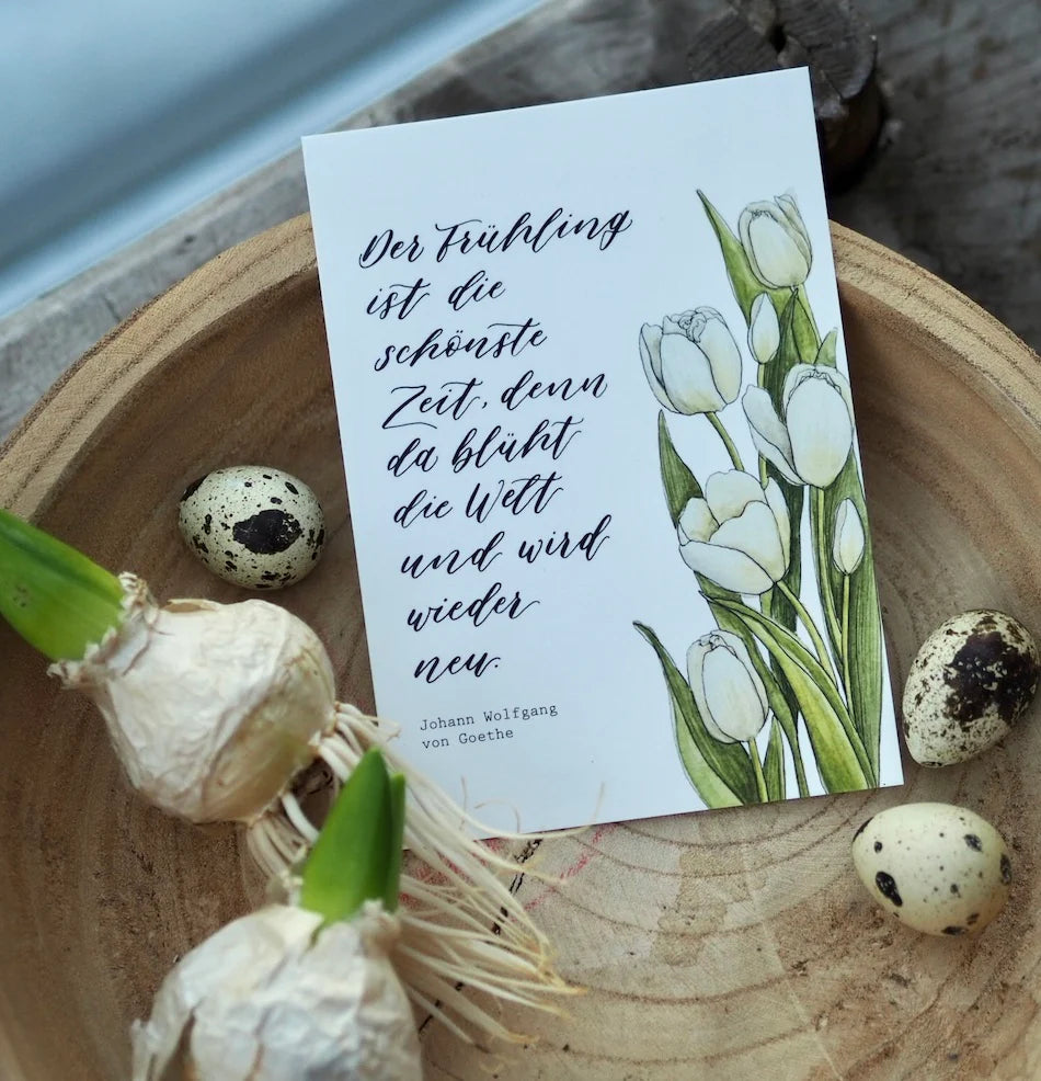 Postkarte "TULPEN" A6