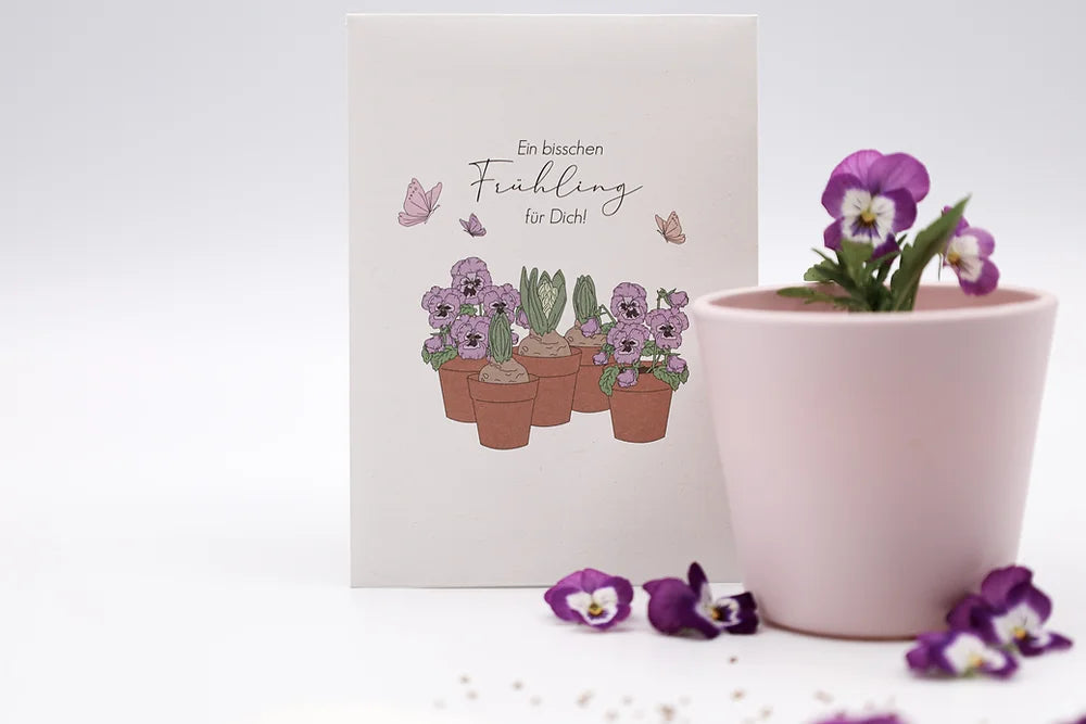 Blumensaat - Hornveilchen-Saat - Ein bisschen Frühling für Dich!