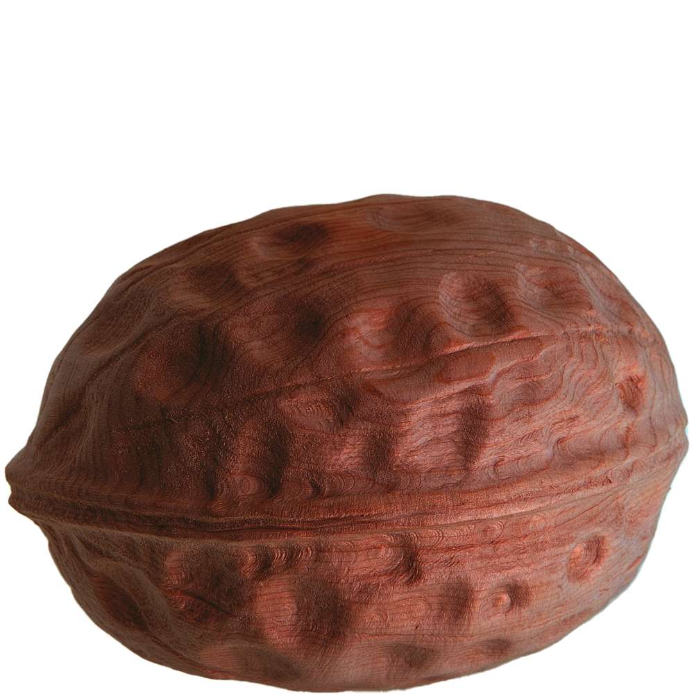 Nussholz Walnuss, naturbelassen  - 7 cm