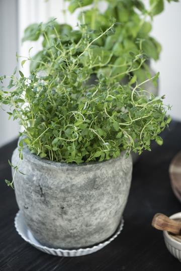 Untersetzer mit gewellter Kante Emaille - Ø: 14,5 cm