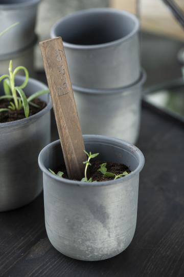 Topf/ Übertopf rund medium