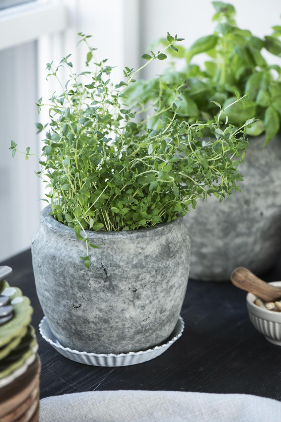 Untersetzer mit gewellter Kante Emaille - Ø: 14,5 cm