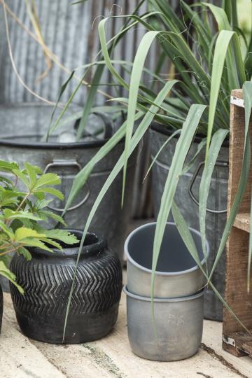 Topf/ Übertopf rund medium