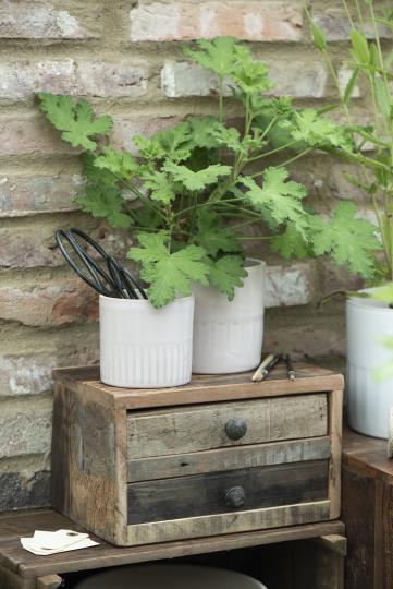 Topf Nordsee - Ø: 11 cm