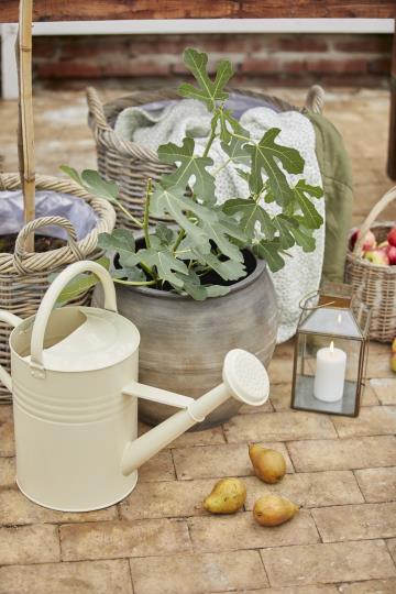 Laterne Norr mit schrägem Glastop, messingfarben - H 30cm