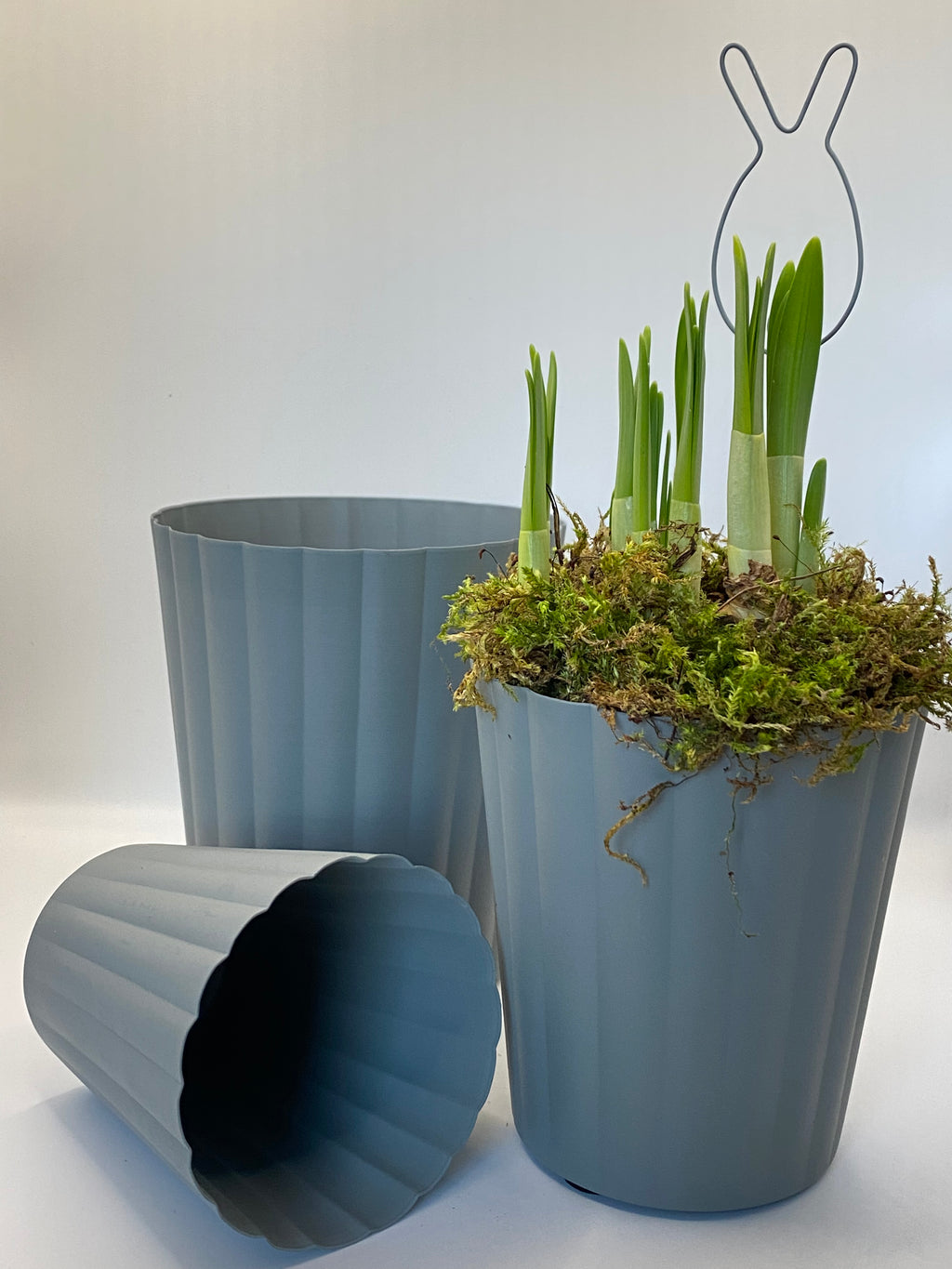 Stecker Hase/ Hasenstecker - Draht