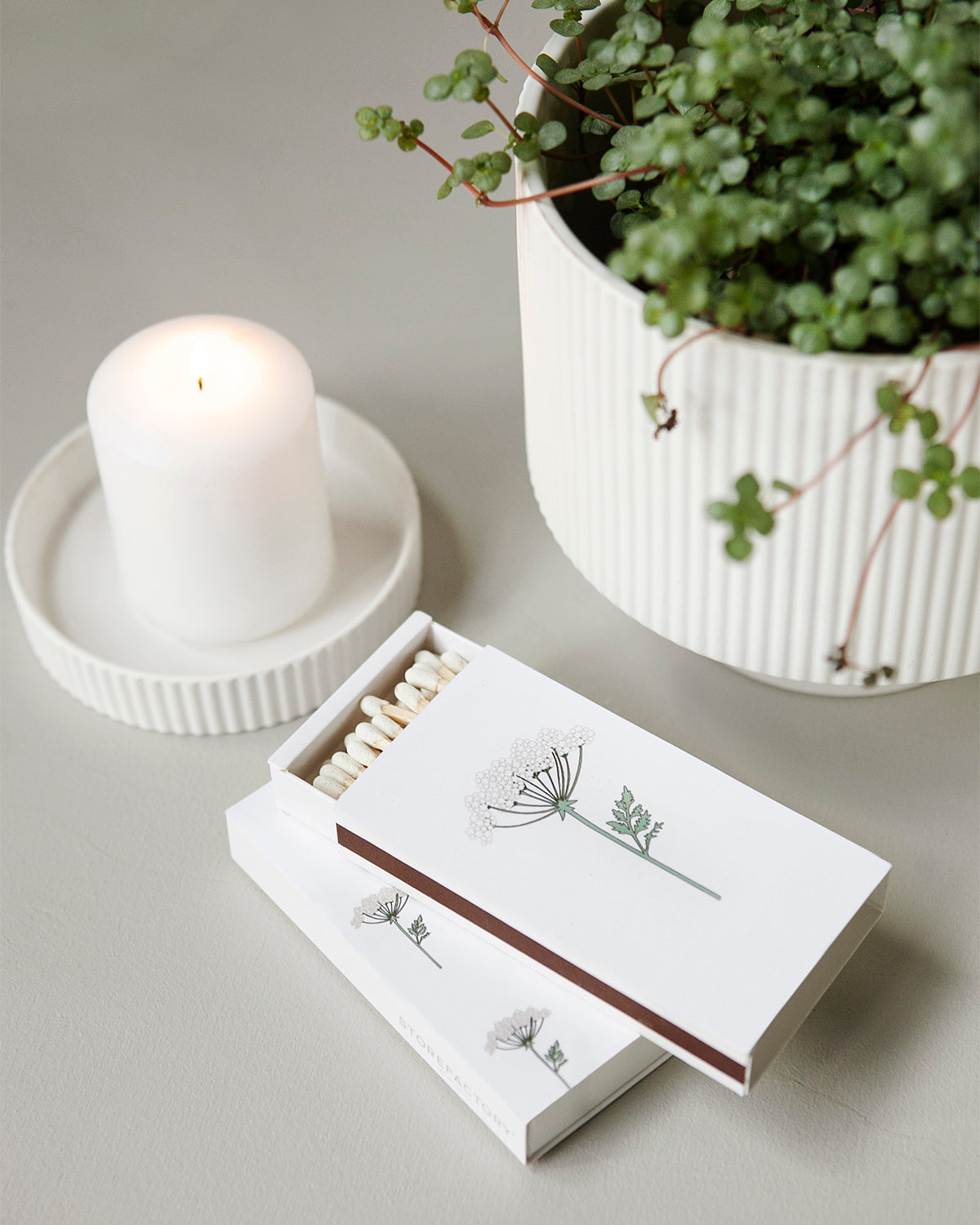 XL Streichholzschachtel Hundkex  - Storefactory