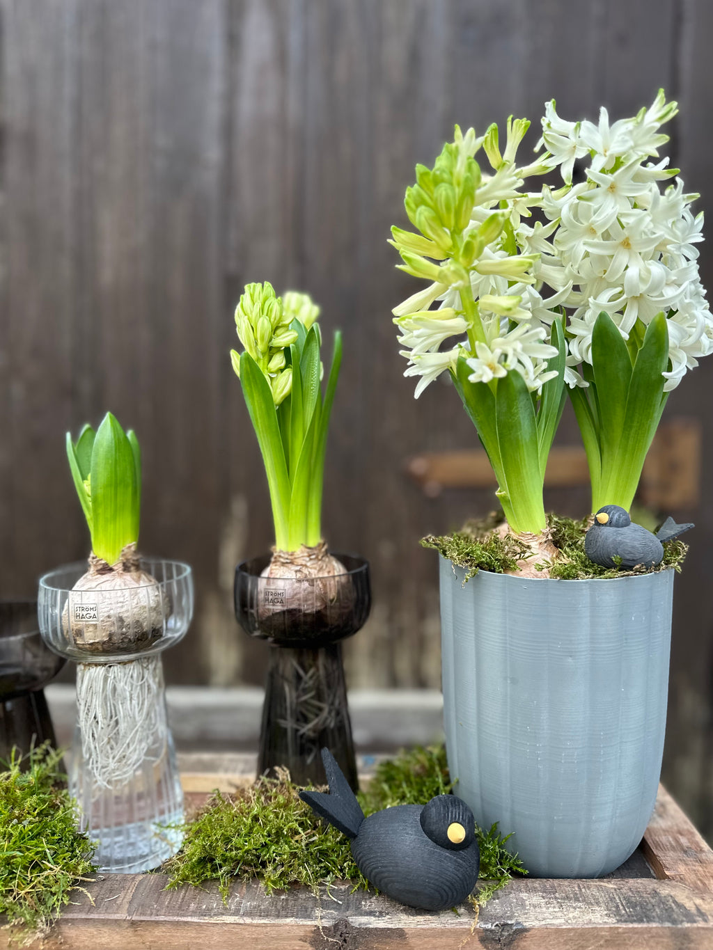 Deko Holzvogel mini - schwarz