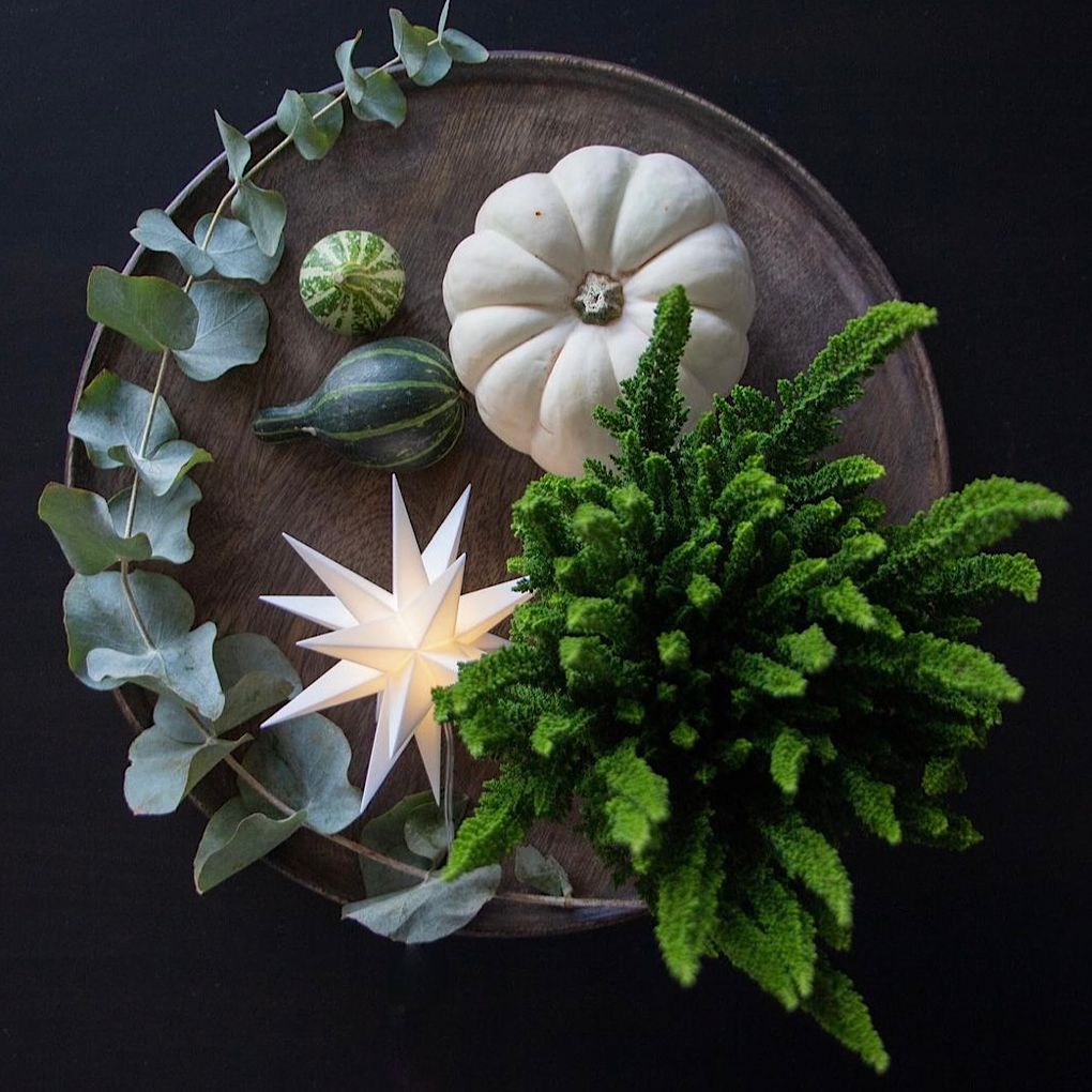 LED Leuchtstern/ Mini-Stern 18 Zacken, für Indoor weiß  Ø 12cm mit Batteriefach und Timer