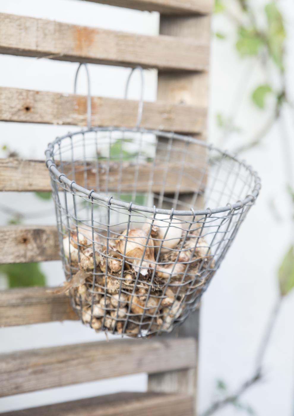 Hängekorb/ Balkonkorb - Zink