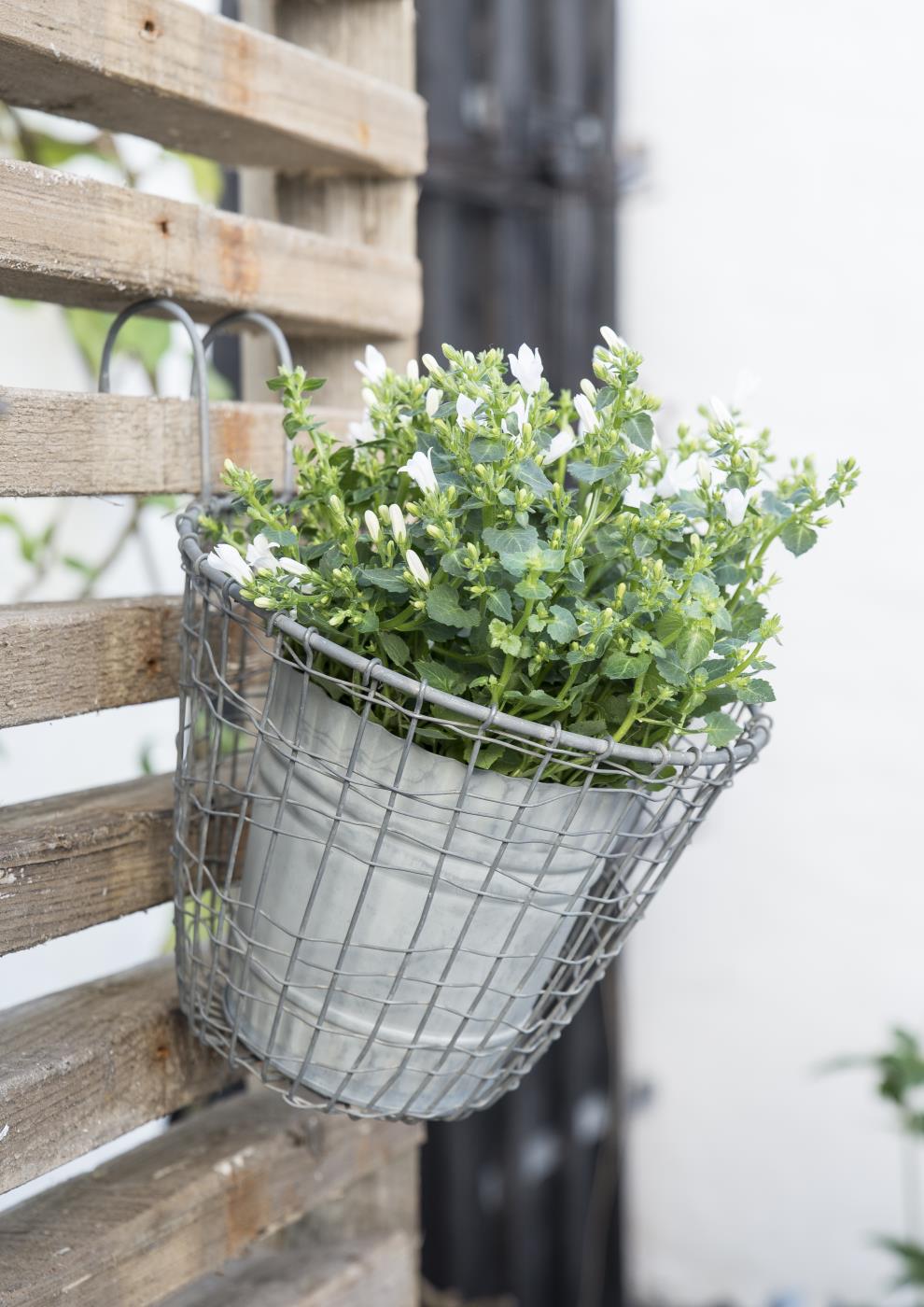 Hängekorb/ Balkonkorb - Zink