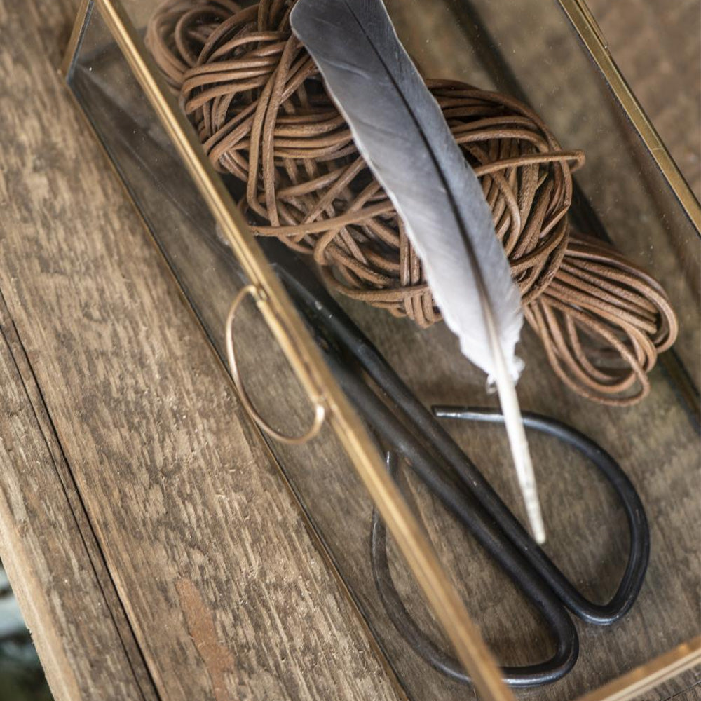 Schere lang - IB Laursen